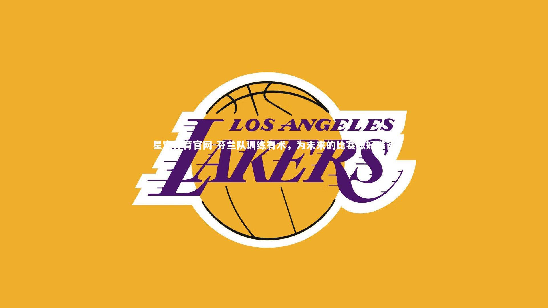 芬兰队训练有术,为未来的比赛做好准备