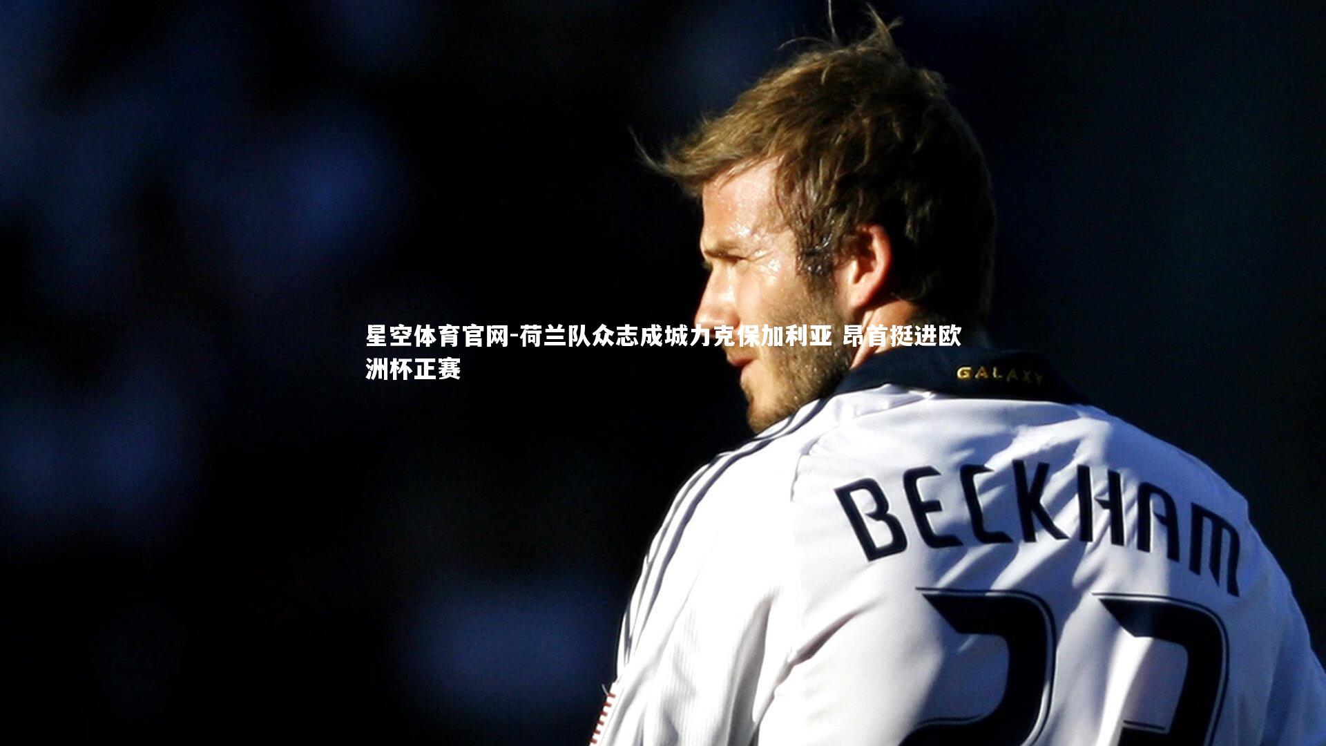 星空体育官网-荷兰队众志成城力克保加利亚 昂首挺进欧洲杯正赛