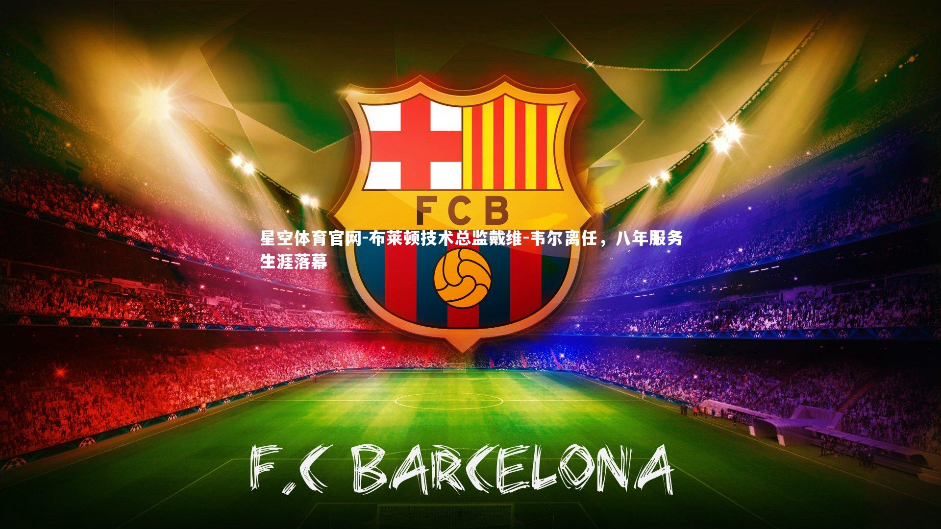 布莱顿技术总监戴维-韦尔离任,八年服务生涯落幕